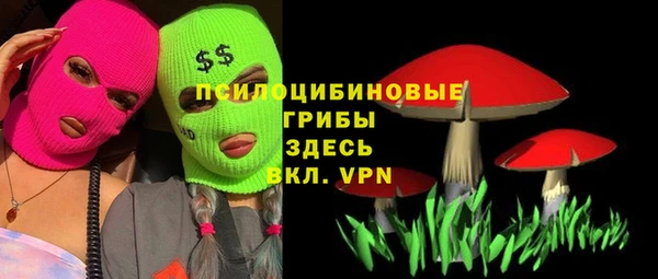 бошки Баксан