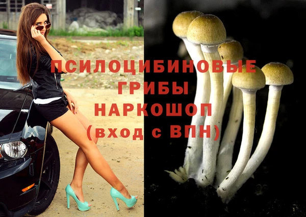 спайс Балабаново